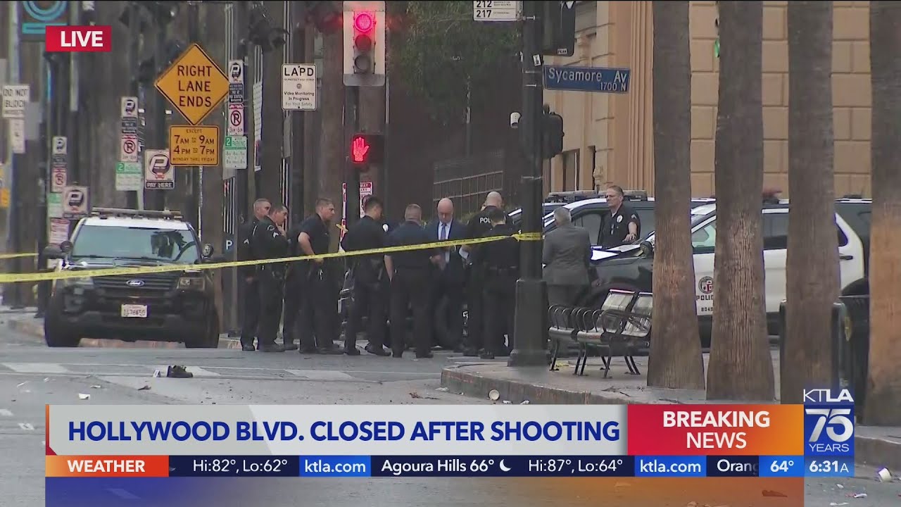 Shooting on Hollywood Walk of Fame leaves 1 hospitalized - YouTube