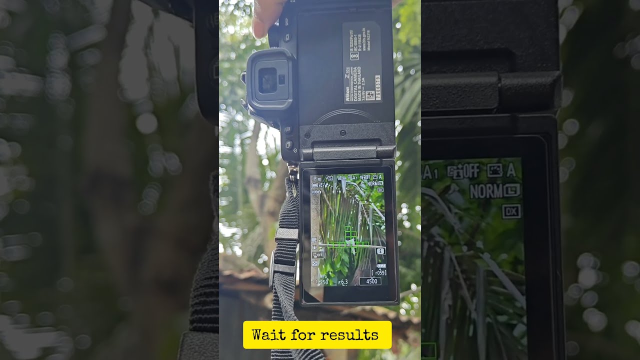 Nikon Z50 Ii 18 140 Mm Photography Lover