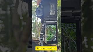 Nikon z50 ii 18-140 mm photography #photography #lover