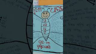 📚 OCF-SE-2025 & Newly Developed Text Book🏫 Prabodhana Training 2025 ✨day2#mukhyansa#ମୁଖ୍ୟାଂଶ