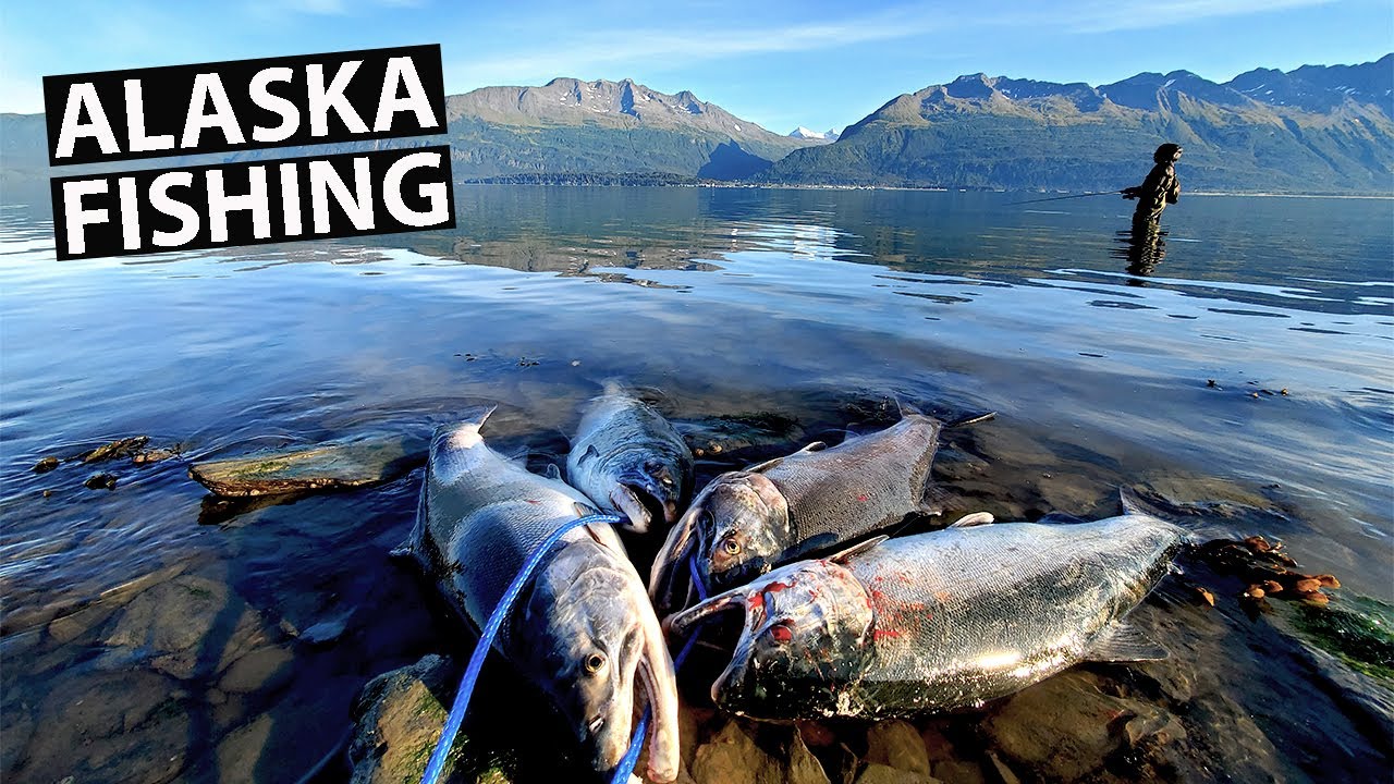 BEST SALMON Fishing in ALASKA! [stunning views] YouTube