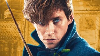 The History Of Newt Scamander | Fantastic Beasts