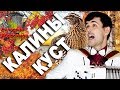 🔥КАКОЙ ГОЛОС!!!🔥Аж, мурашки по телу!  (Калины куст под баян)