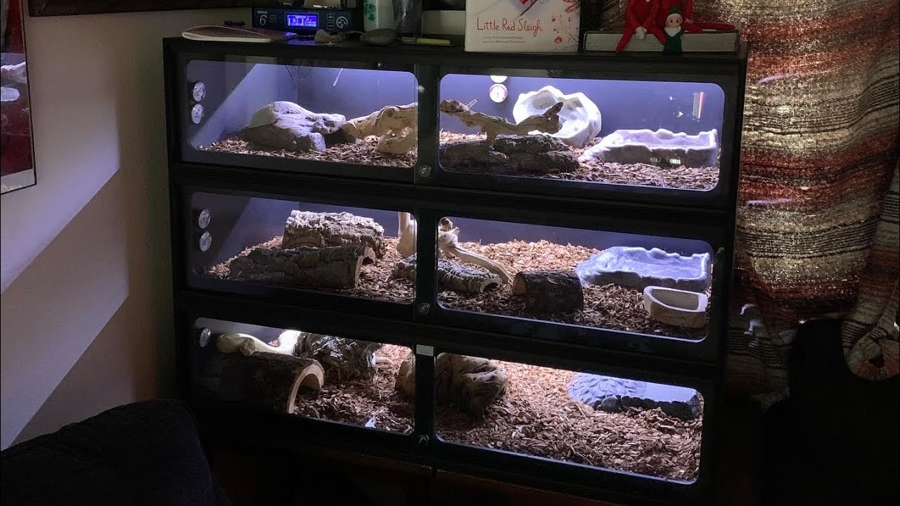 Animal Plastics T8 Build & Review YouTube