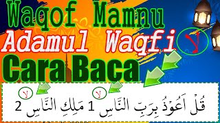 Cara Waqof Pada Tanda Waqof Mamnu Atau Adamul Waqfi    Cara Baca Dan Contohnya Belajar Tajwid