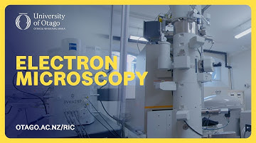 Journey to the nanoscale: Unlocking secrets with Electron Microscopy (EM) at Otago