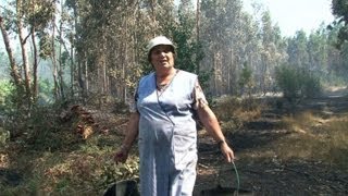 Portugal forest fire rages on