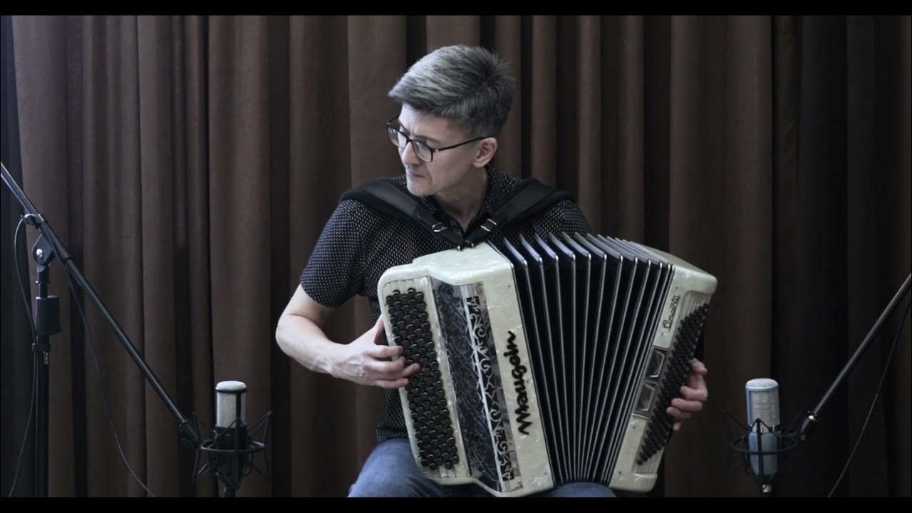 Французский аккордеонист. Конь с баяном. Амели аккордеон. Амели вальс для аккордеона. Амели аккордеон.