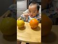 #はるか or #オレンジ🍊　どちらが好きなの？#ベビー