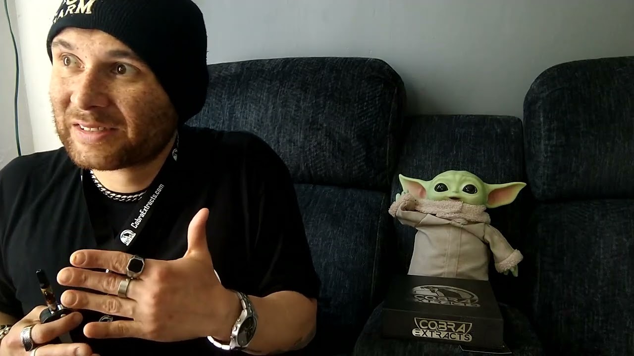 Cobra Extracts Influencer Box Dutch Treat live resin Review