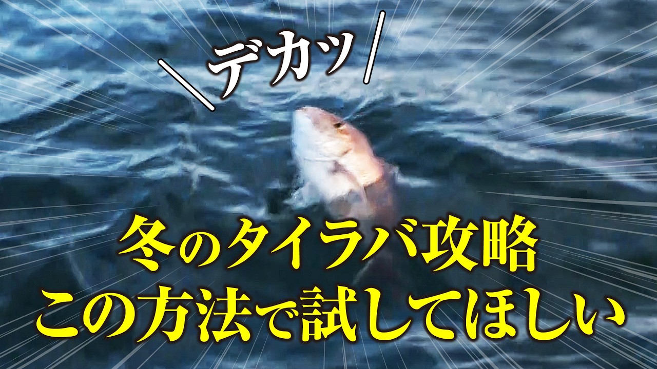 【冬のタイラバ攻略】誰でも簡単にマネできる方法を解説したので是非試してみてほしい。初心者がやりがちな間違いも教えてもらいました。