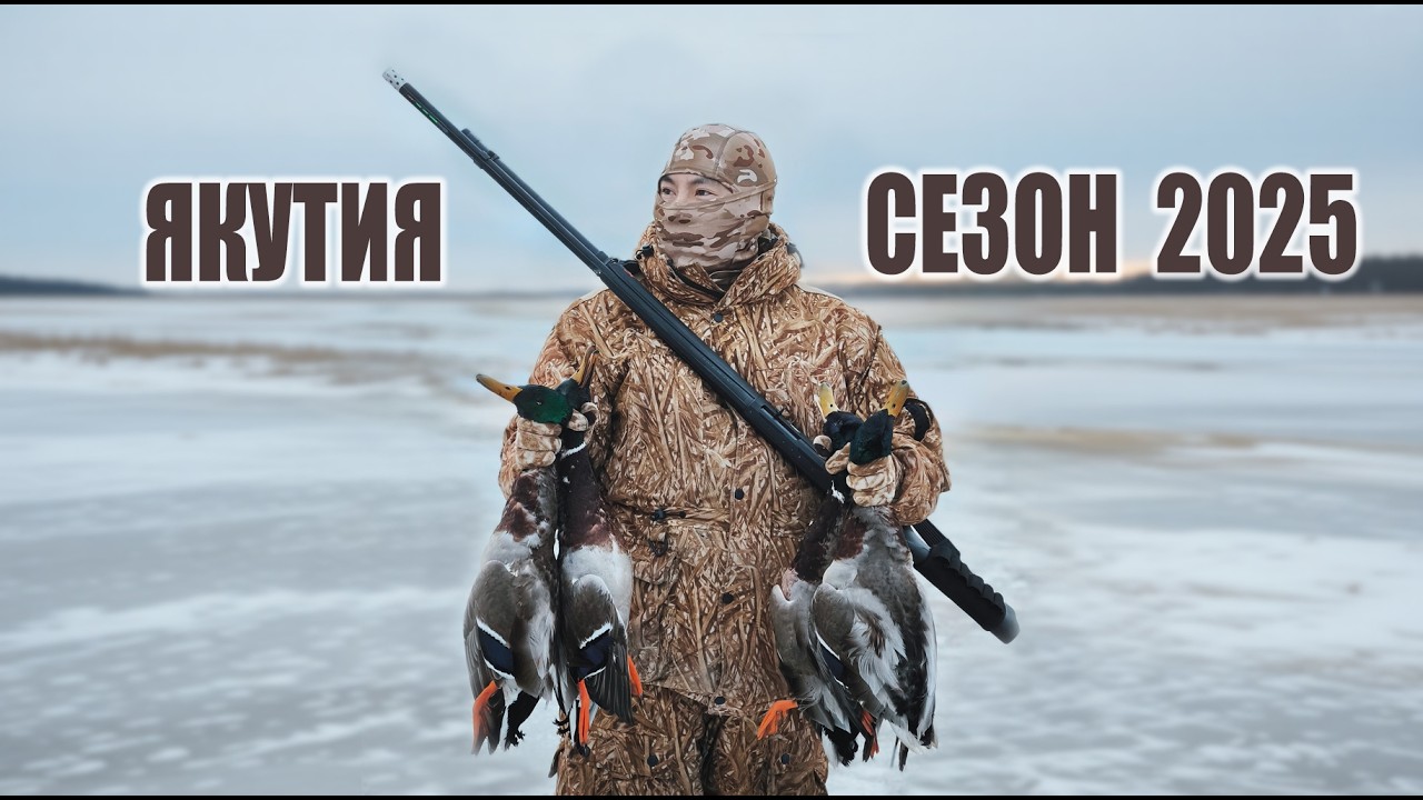 Сезон охоты на селезней 2025 ! Краткий обзор всего сезона ! #hunting #природа #охота #adventure