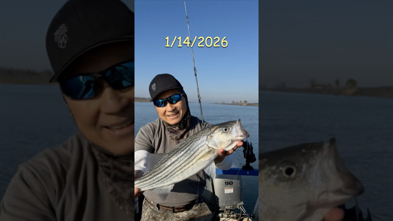 Striper Fishing DWC. Join Us, We On Da Move!  