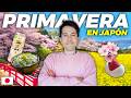 Guía Primavera en Japón: Qué Ropa Llevar, Qué Comer y DÓNDE Ver las Sakura! 🌸