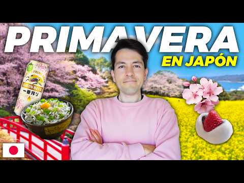 Spring Guide to Japan: What to Wear, What to Eat, and WHERE to See the Sakura! 🌸
