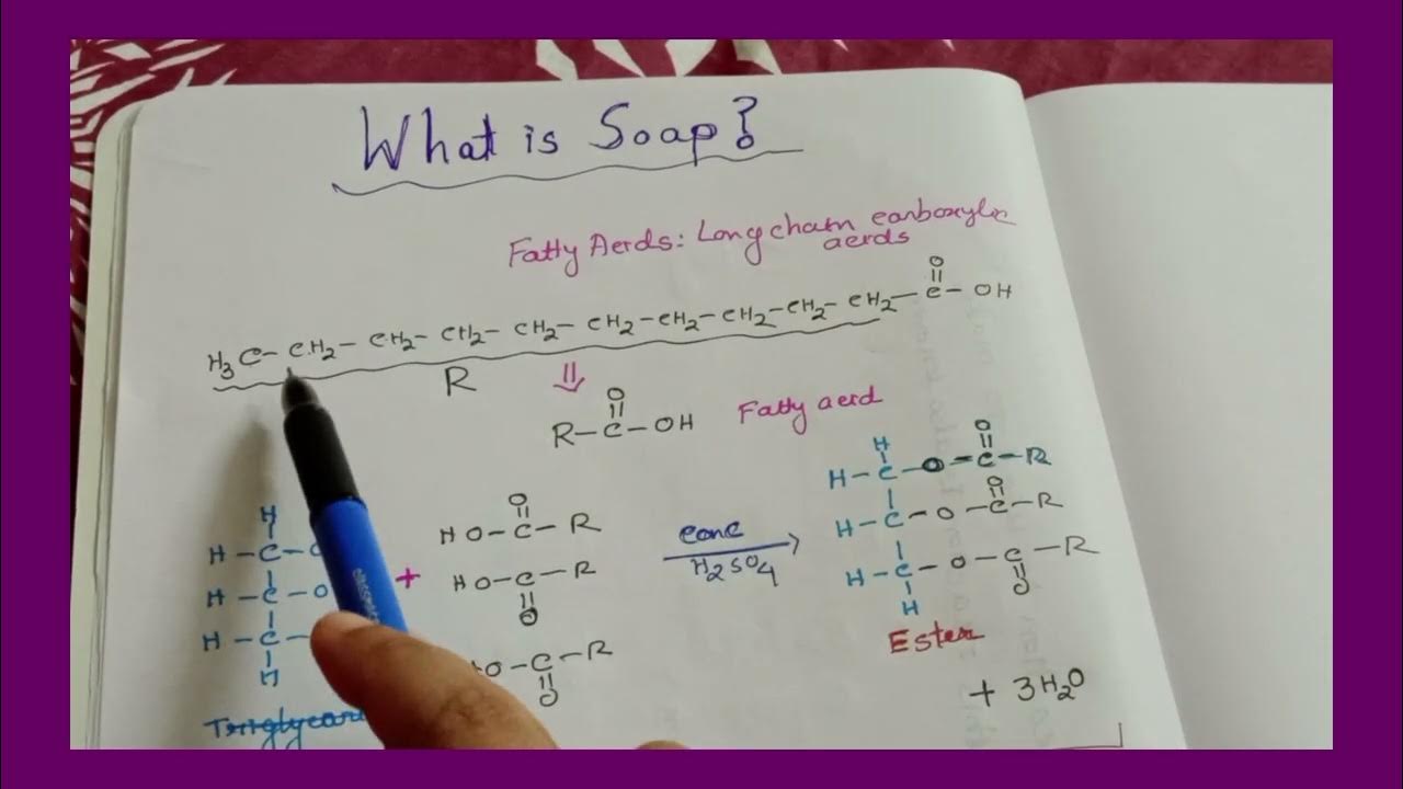 Soap Chemical Composition and Reaction 10chemistry YouTube