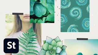 Create inspiring mood boards in no time with Adobe Stock | Adobe Creative Cloud