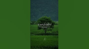 Surah Al Hijir 45-48 سورة الحجر  #SurahAlHijir #SurahHijir #AlHijr #ramadan #makkah #mecca #short