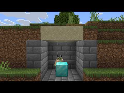 Building a Secret Base for my Friend to find...