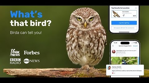 Birda Birdwatching App - Start amplifying your birding experience