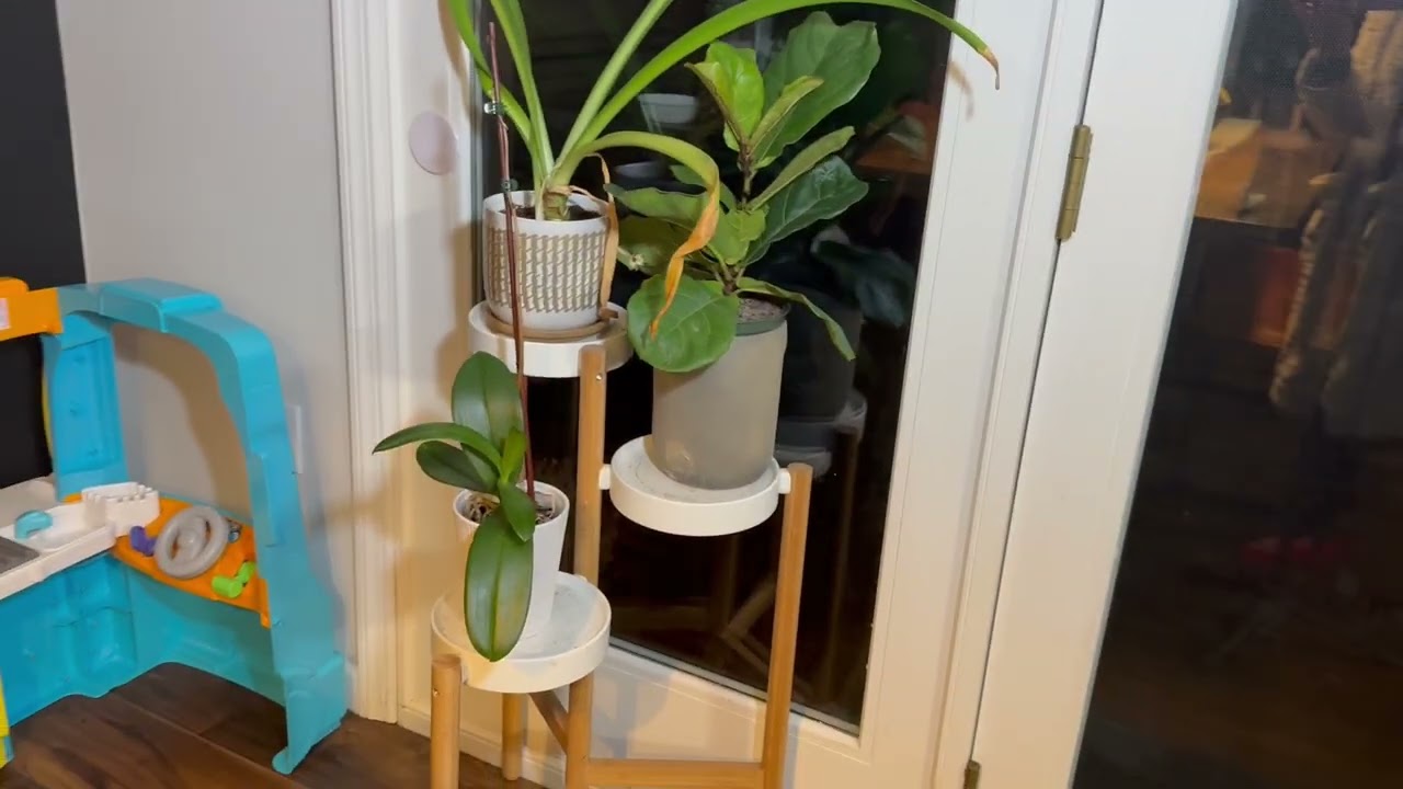 Modern 3-Tier Plant Stand | Why I'm loving it! 