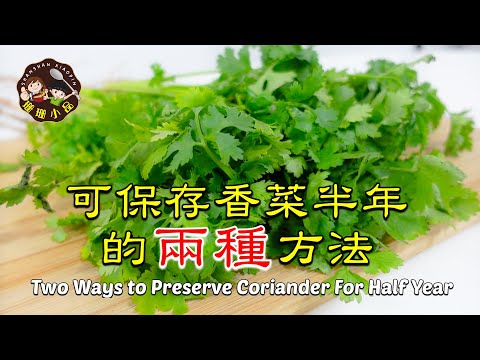 Two Ways to Preserve Coriander For Half Year