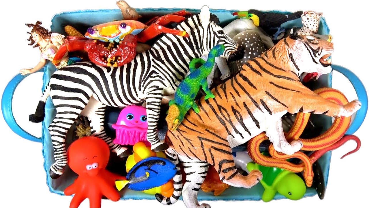 Box of Toys Learn Wild Animal Names Learn Colors Sharks Safari