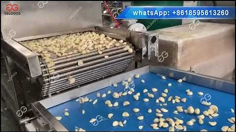 Garlic Peeling And Sorting Line Garlic Processsing Plant
