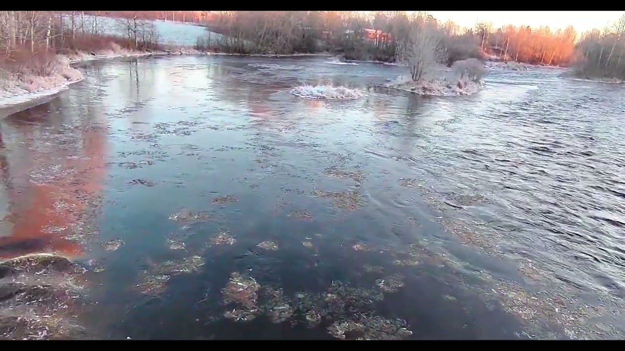 Hyttikoski - Siikajoki River - Siikalatva 🇫🇮❄️ #whitewater #river #natureinfinland #finland #suomi