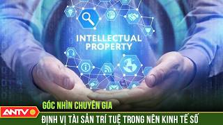 Góc nhìn chuyên gia: Định vị tài sản trí tuệ trong nên kinh tế số | ANTV