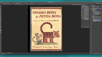 Resizing Pages in a Preexisting PDF Using Photoshop