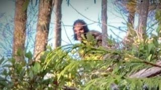 Couple Caught Bigfoot on Camera… What Happened Seconds Later Is Terrifying