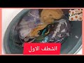 لاول مرة على اليوتيوب طريقة غسل الملابس مع برنامج الغسيل اليومي لغسالة الملابس بروند الجديدة Brandt 