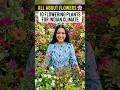All About Flowers/ 10 Flowering Plants for Indian Climate#ytshorts #AllAboutFlowers #FloweringPlants