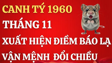 Canh Tý 1960: Điềm Báo Lạ Tháng 11 Âm Lịch - 3 Tín Hiệu Thiên Cơ Mở Ra Cơ Hội 12 Năm Tới!