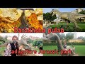 Darakhsha pulao  dino adventure park  jahangir park shahina mohsin