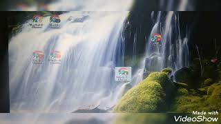 كيفية فتح حسابات في كومبيتر بمتصفح واحد فقط screenshot 5