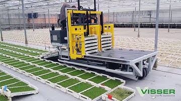 Visser Horti Systems - Box-O-Matic - Wunderlich Jungpflanzen