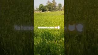 Bachpan Wapas Aa Jaye