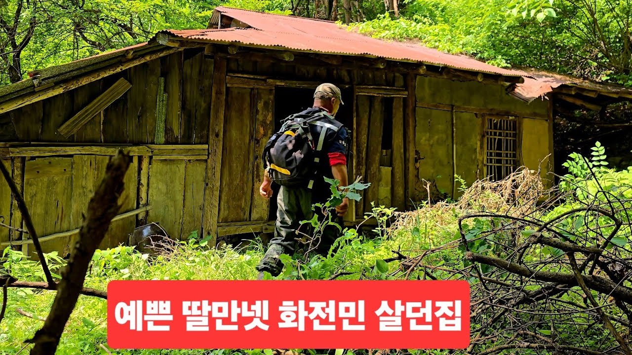 첩첩산 소쟁기 비탈밭 농사짓던 화전민 예쁜딸 소문자자 칡넝쿨 잡목속에 아직 남아있네ᆢ - YouTube