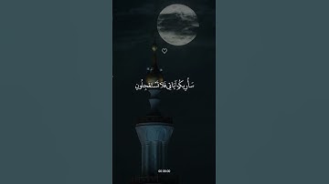 سورة الأنبياء 💙#حالات #حالات_دينية #حالات_واتس #حالات_واتساب #قرآن