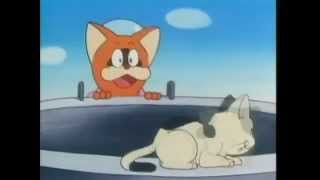 Chú Mèo Rocky - Rocky Làm Nhân Viên Cứu Nạn