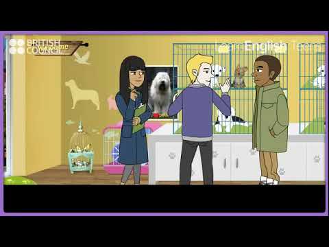 grammar: have to, mush, should  obligation  & advice  from british council