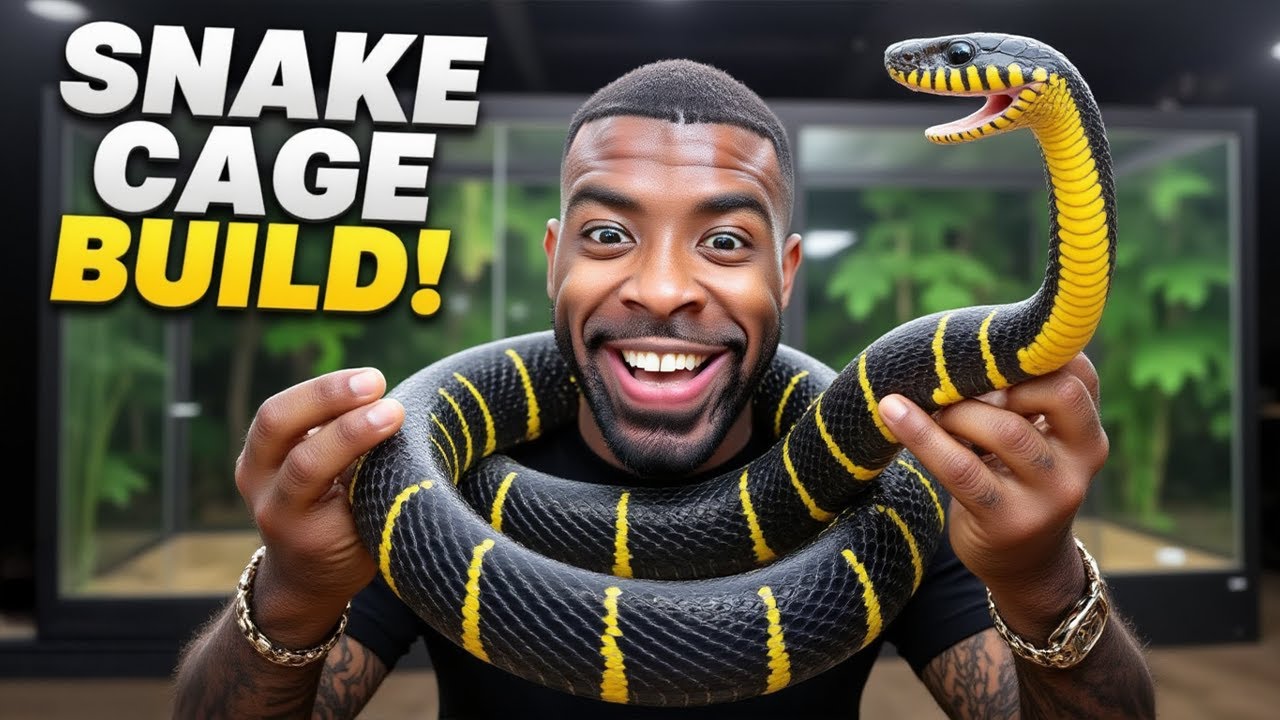 Building a Terrarium for My Mangrove Snake (Boiga melanota) Building a Terrarium for My Mangrove Snake (Boiga melanota)