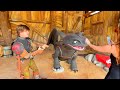 Meeting Toothless & Hiccup in Epic Universe! How to Train Your Dragon Isle of Berk Meet & Greet
