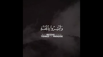 سورة فصلت | القارئ ناصر القطامي