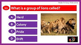 Animal Group Names Quiz | Collective Nouns | Names for Groups of Animals -  YouTube