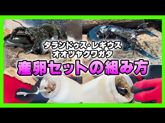 For beginners] Easy♪ How to assemble a spawning set for the