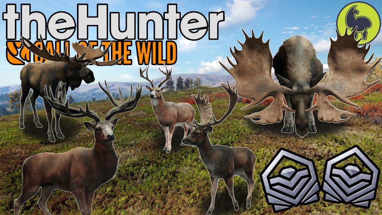 Autumn Antlers, Hunt Club Beta theHunter Call of the Wild YouTube