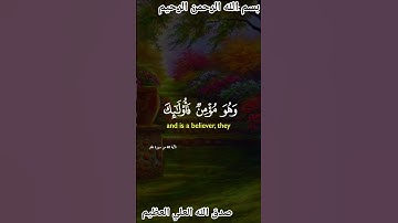 سورة غافر #المصحف #اكسبلور #دويتو #القزابري